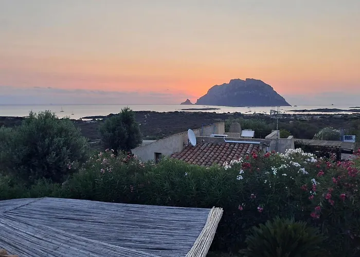 Villa Villino Flora Porto San Paolo (Sardinia)