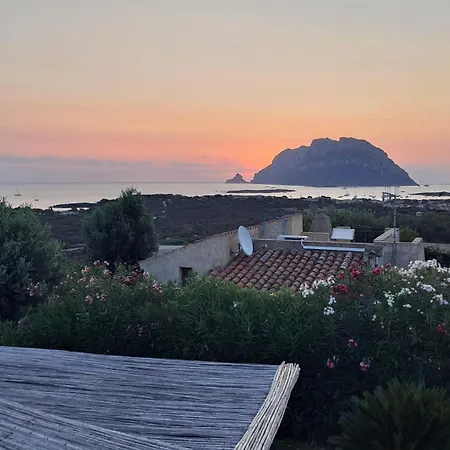 Villa Villino Flora Porto San Paolo (Sardinia)